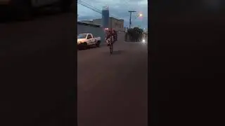 LEVADA MALA GRAU PRA STATUS