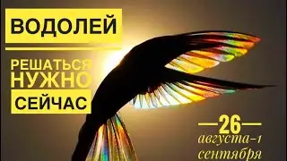Водолей ♒️ 26 августа-1 сентября 2024 года 🗝✨🌈🍀💐☀️Таро Ленорман прогноз предсказания