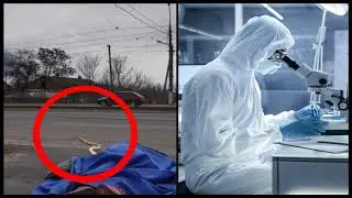 УКРАИНА ! ГИГАНТСКИЕ ЧЕРВИ В ТРУПАХ !