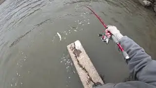 2024 Lost Fishing Clips (Upstate and Western NY)