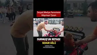 Nohur Gölü'nün Ünlü Maymunu Tyson