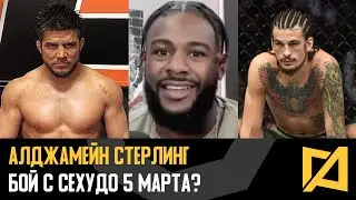 Алджамейн Стерлинг - Бой с Сехудо 5 марта в силе? / Сехудо vs О'Мэлли за временный титул?