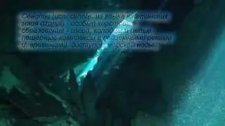 Дайвинг в Мексике.Сеноты Юкатана часть1