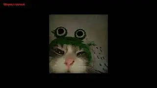 Две тысячи ярдов - Верните в моду любовь (ｓｐｅｅｄ ｕｐ)