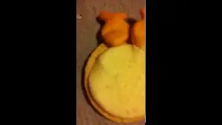 How to make a goldfish Oreo pie