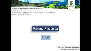 BIO II - IFMG Bambuí: "ALGAS"