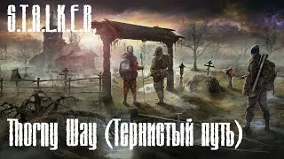 S.T.A.L.K.E.R. - Thorny Way Тернистый путь Part 1 - Мутим бабло, ищем Карася и Темную душу