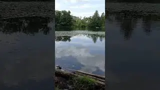 Облака купаются в озере