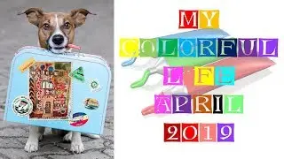 My Colorful Life April 2019 Violet and Yellow