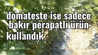 hastalık ayı başladı hobi günlüğü 209