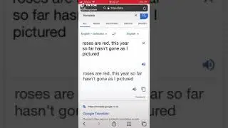 Google translate tiktok compilation part 4
