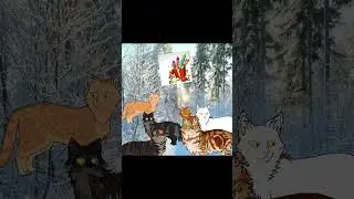 с новым годом!!! #лавандакв #котывоители #новыйгод