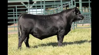 Lot 5 - Montana Barricade 3324