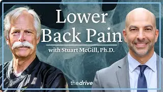 287 ‒ Lower back pain: causes, treatment, and prevention of lower back injuries and pain