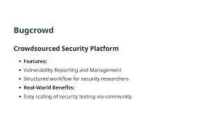 Top Bug Bounty Security Tools for Hunters