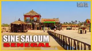 Senegal Saloum delta - Eating shrimp and mutton sandwich with dolphins