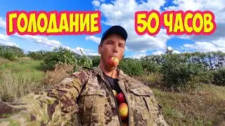 Голодание 50 часов. Мой опыт