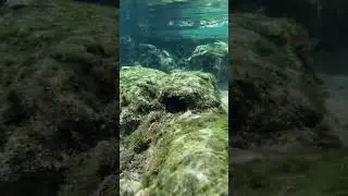 Have you ever seen water this clear? 👀Explore The Chaz with us in a clear kayak
