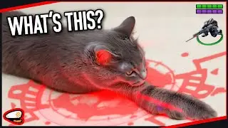 This Guy Might As Well Be A Cat... | Is It IMBA Or Do I Suck