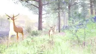 Deer