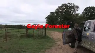 OTTV