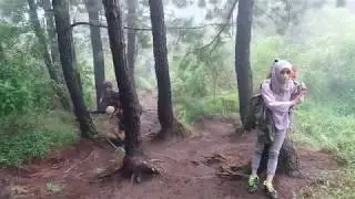 JALUR PENDAKIAN GUNUNG SLAMET VIA BAMBANGAN