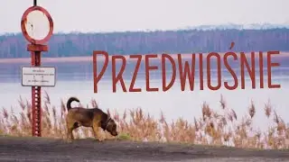 Przedwiośnie