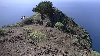 Valle Gran Rey - The Lonely Tree Lookout.