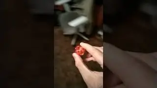 Day #2 of rolling a d20 every Saturday until I get a 20