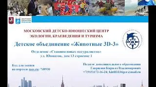 Приглашение в детское объединение "Животные 3D-3"