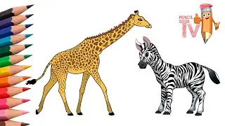 How to draw African animals in 5 easy steps?