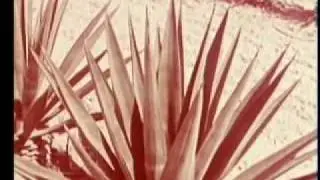 מבט אל הנגב - ארכיון המדינה