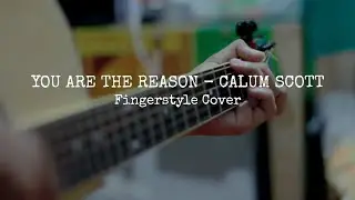 YOU ARE THE REASON - CALUM SCOTT ( Fingerstyle Guitar Cover )