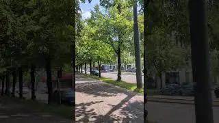 Auf welcher Seite darf eine Straßenbahn im Regelfall überholt werden?