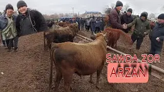 5-Феврал/Шымбай мал базар/2023/Скотный рынок/Арзанба/Shimbay mal bazar 2023/mal bazar 2023/mal bazar