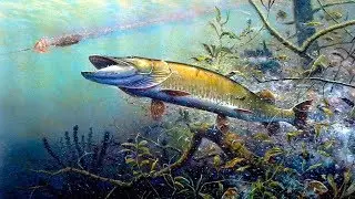 ВЫЛАВЛИВАЕМ ВСЕ ТРОФЕИ#38 - Русская Рыбалка 4.Russian Fishing 4.