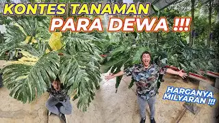 #EPS01