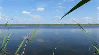 Озеро Ербаш в Северном районе Новосибирской области