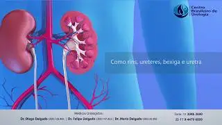 ITU Infecção do Trato Urinário