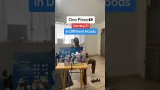 One Piece in different Hoods 