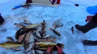 Урааа!!! Есть бонус, судак!!  (таежное озеро) Весна 12.03.2020.