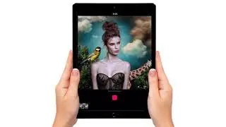 Use Clips to Create Pan and Zoom Slideshows