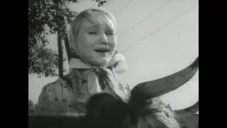 Суд идёт комедия Пуговкин, Крамаров, Филиппов 1963 год СССР HD