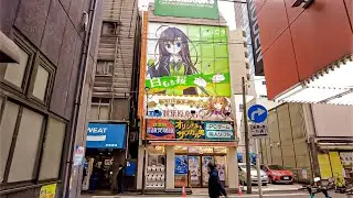 【4K】Tokyo, Akihabara / 秋葉原 walking #virtualtour #japantravel