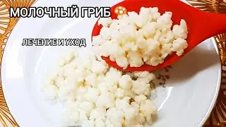 Домашний Кефир! Польза и Содержание!|Кулинария и выпечка с магией