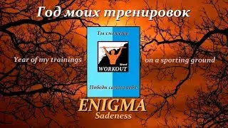 Год моих тренировок