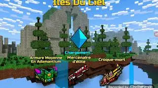 Pixel gun 3d avec une abonnee