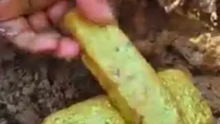 maynakita kaming bulawan