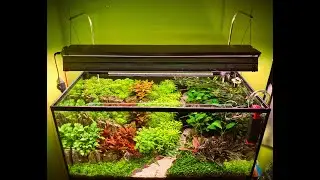 Növényes akvárium lámpa házilag, Diy Aquarium led lighting