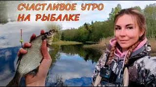 Супер РЫБАЛКА НА ПОПЛАВОК ранним утром! Лесная речка, красота и отличный клев!